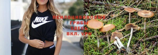 винт Остров