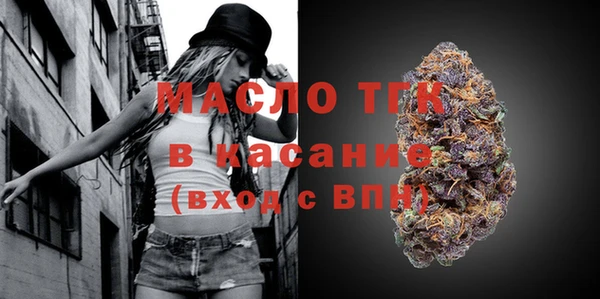 индика Зеленокумск